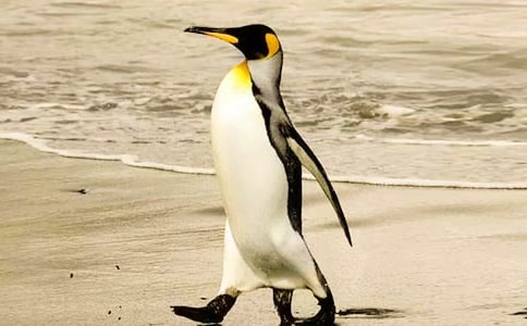 ���Z������14ƪ[�ϼ�]