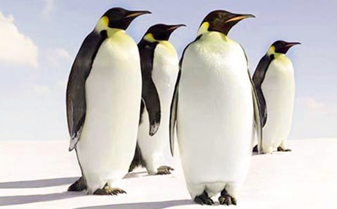 [�ϼ�]�ɐ۵����Z����