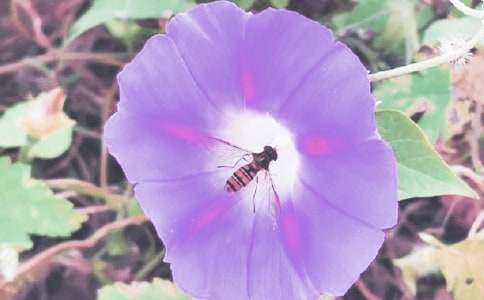 �����A������������4ƪ