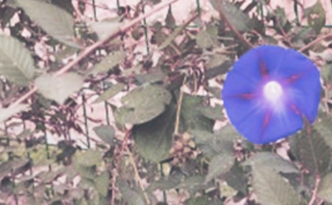 ��ţ�����L�^�����ģ����x30ƪ��