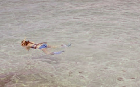 ��һ�Ν�ˮ���ąR��(15ƪ)