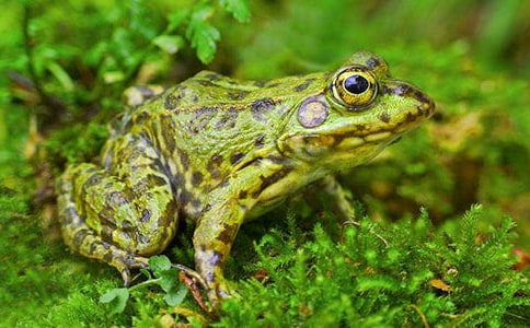 ����ϴ��Ĺ���