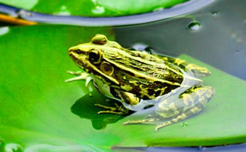 ���o���ܿ��D��Ԓ[��Ʒ15ƪ]