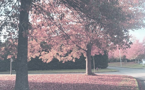 �＾��ĩ�������