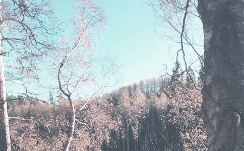 �＾�o�l(f��)�ɲ���