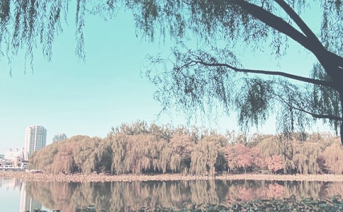 �＾Ƥ�w�aˮ������