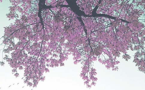 �＾����ĩ�������