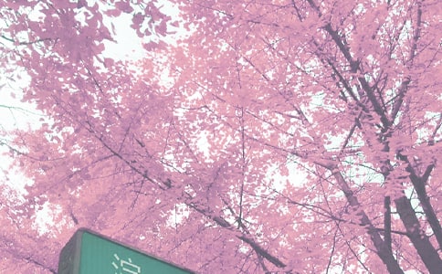 (合集)我愛秋季作文14篇