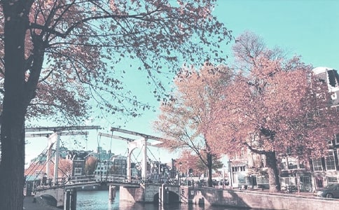 秋季周末問候經典短信