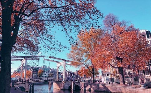 ���յ��S������