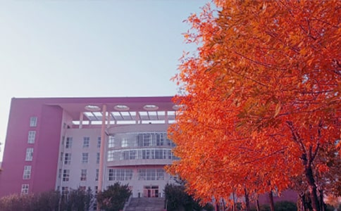 ����˽�Z����