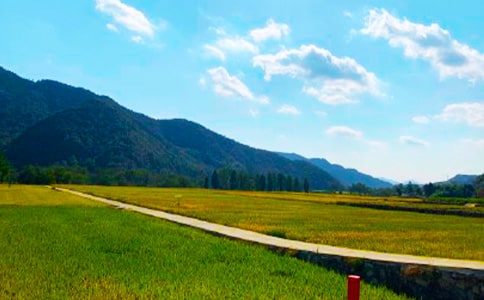 �P�����յ�����