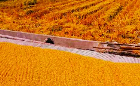 ���յĺ���