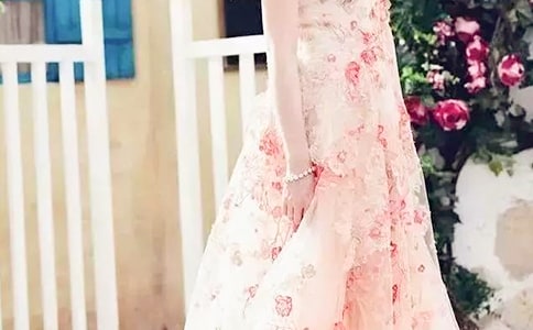 我漂亮的新裙子作文