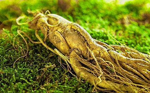 ���˅����C����ʽ