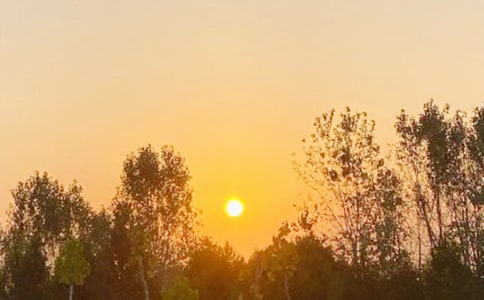 �����ճ����ģ�ͨ��25ƪ��