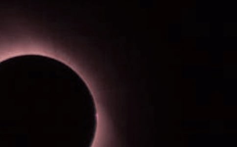 ����ʳ��������