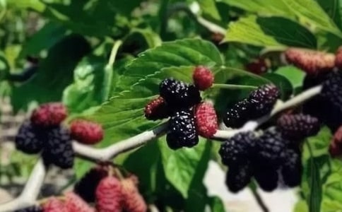 �Ґۼ��l��ɣ������