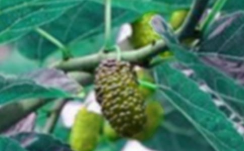 ���xժɣ������300����ƪ