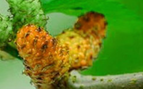 ��ɣ�������_�^