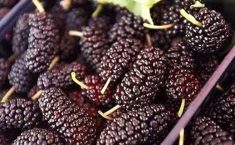 ���؂䡿ժɣ������