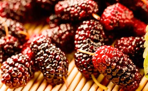 ժɣ������10ƪ