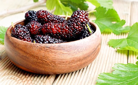 摘桑葚作文精華15篇