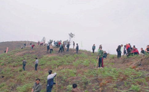 掃墓作文(精選37篇)