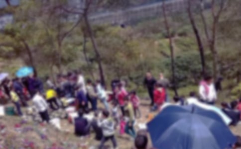 關于掃墓的作文