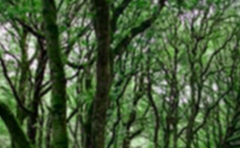 ���ɭ���^���