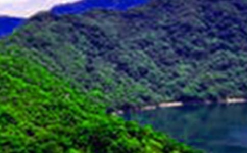 (��(y��u))�˷ɽˮ����