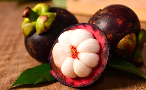 ���᡿����ɽ������15ƪ