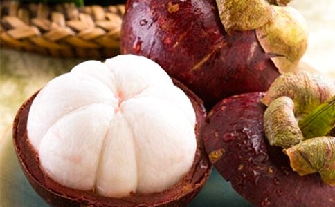 游南山竹海作文