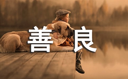 �����f�f���������x40�䣩