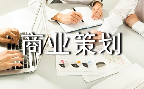 商業策劃書模板(2)