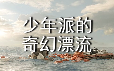 《少年派的奇幻漂流》讀后感(精選14篇)