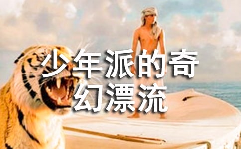 少年派的奇幻漂流觀后感2篇