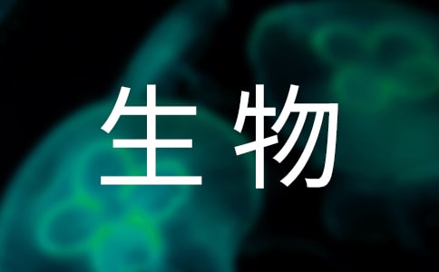 高二生物備課組工作計劃(精選7篇)