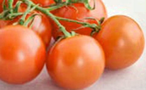 圣女果作文15篇(精選)