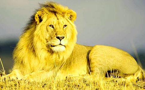 �{����Ů��������Щ���c��ȱ�c