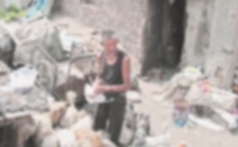 ʰ����������8ƪ(�ϼ�)