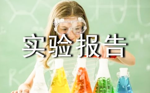 模擬經營實驗報告