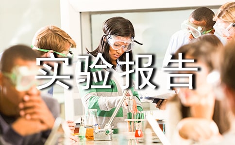 實驗報告 范本