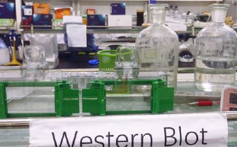 實驗室實驗規則