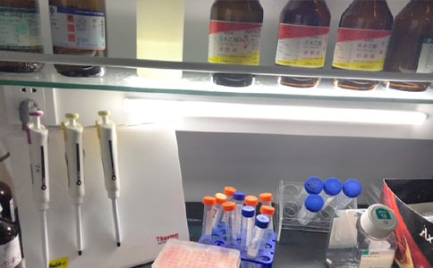 ��(sh��)�(y��n)�ҹ���T�������Y(ji��)