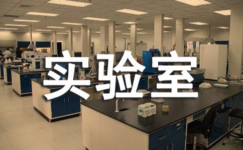 走進實驗室征文500