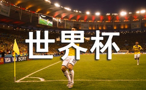 我和世界杯作文