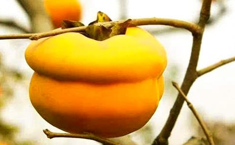 �Ҽҵ����Ә�����[��(y��u)��14ƪ]