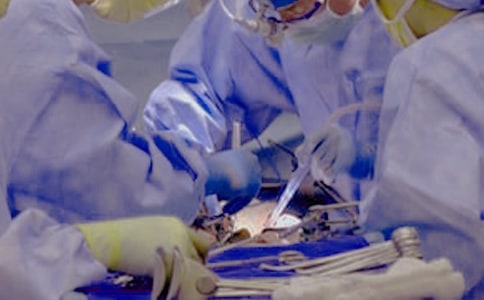 ��Ҋĸ�H�����g��ʲô��˼