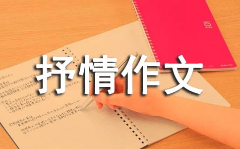 高中抒情作文:轉折